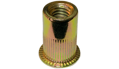 Kanebridge XSSTI representative product family