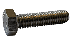 3/4"-10 x 2" 304 Stainless Steel Hex Cap Screw (Box of 20)