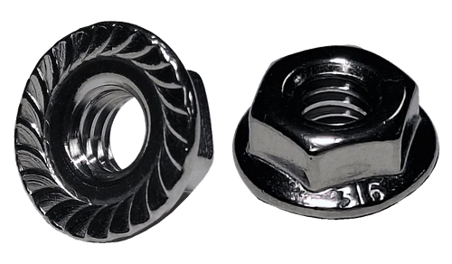 5/16"-18 Serrated Flange Nut, 316 Stainless Steel (Box of 2,000)