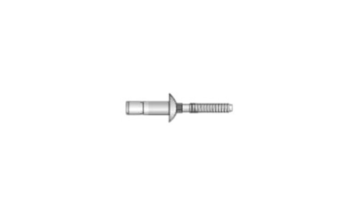 1/4" x .080-.375 Stainless/Stainless  Positive Mandrel Rivet, Protudring Head (Box of 500)