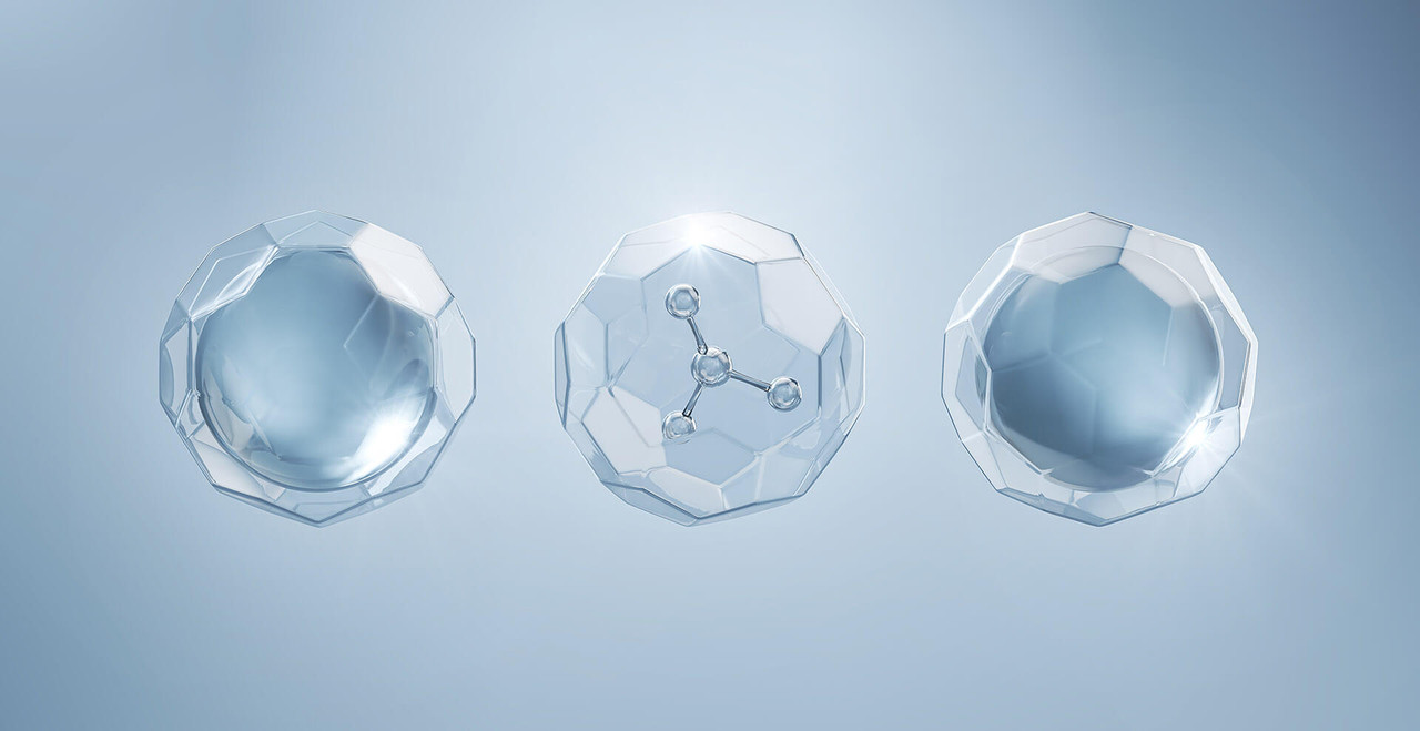 Ceramides