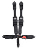 5.3 Harness - 5 point harness, 3" belts; padded HANS; lap belt: clip-in, EZ adjusters