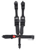 5.3 Harness - 5 point harness, 3" belts; padded HANS; lap belt: Ratcheting, pull-up, EZ adjusters, clip-in