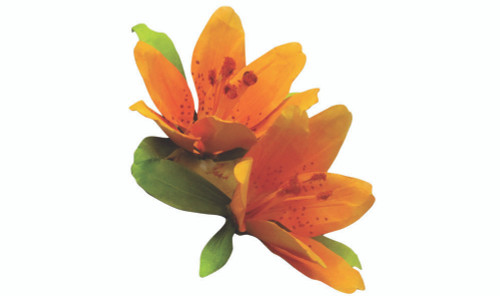 Pollen Orange Scenic Detail 1.8 cu in