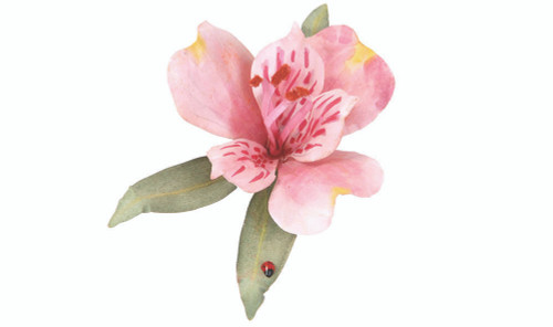 Pollen Red Scenic Detail 1.8 cu in