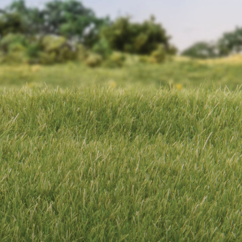 Static Grass Medium Green 4mm 18g