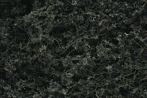 Ready Made Conifer Trees Kit Green Pines 4"-6" (7)