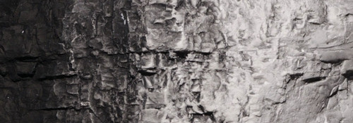 Terrain Paint Black 4 oz