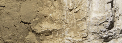 Terrain Paint Yellow Ochre 4 oz