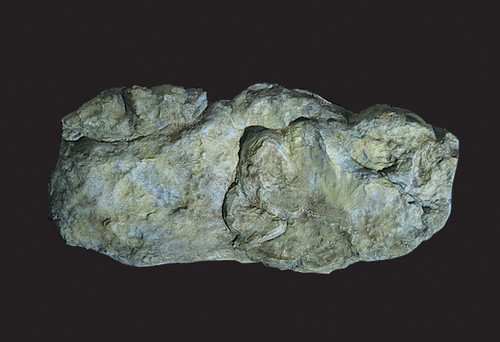 Washed Rock Mold