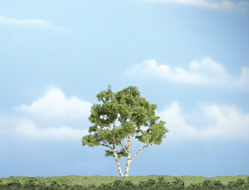 Premium Birch Tree 3-7/8"