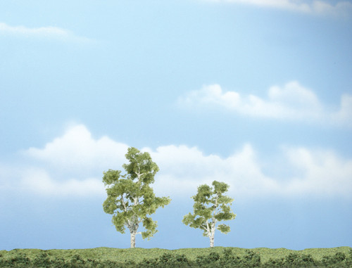 Premium Sycamore Trees 2-7/8" and 2-3/8" (2)