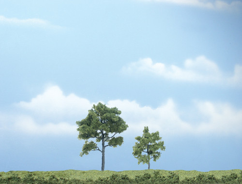 Premium Locust Trees 3-1/4" and 2" (2)