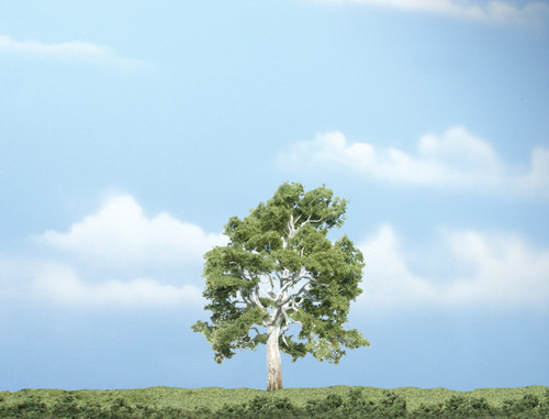 Premium Sycamore Tree 4-1/4"