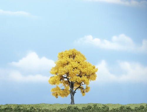 Premium Fall Beech Tree 4"