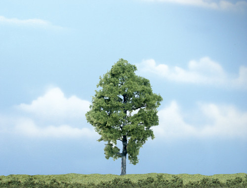 Premium Hickory Tree 5-3/4"