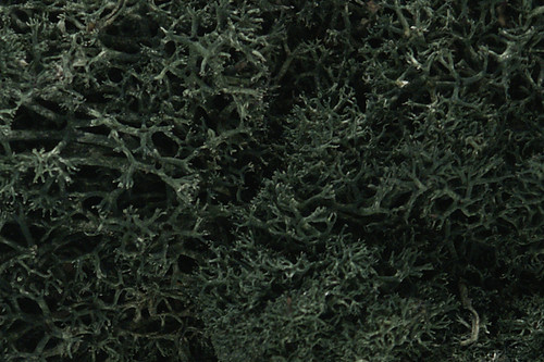 Lichen Dark Green 1.5 qt Bag