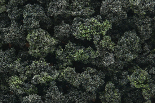 Bushes Forest Blend 32 oz Shaker Bottle