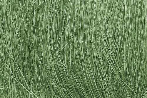 Field Grass Medium Green 8g Bag