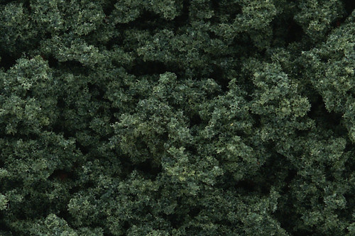 Clump Foliage Dark Green 3 qt Bag