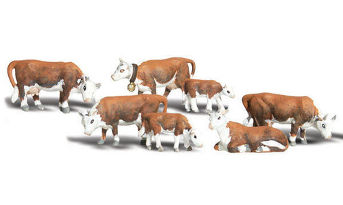 N Hereford Cows Scenic Accents