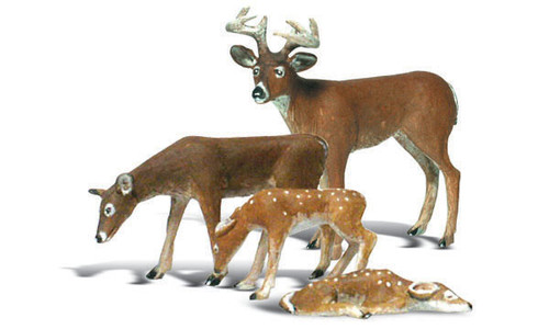 G Buck & Family Scenic Accents