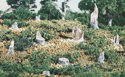 Broken Stumps Scenic Details