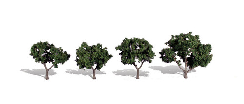 Woodland Classics Cool Shade Trees 2"-3" (4)