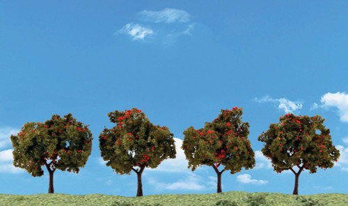 Ready Made Apple Trees 2"-3" (4)