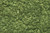 Foliage Light Green 60 sq in Sheet