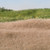 Static Grass Straw 2mm 18g