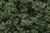 Clump Foliage Medium Green 1 qt Bag