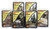 Road Building Learning Kit