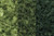 Ready Made Trees Mixed Deciduous Tree Kit 3/4"-3" (36)