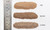 Ballast Fine Buff 30oz Shaker