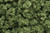 Bushes Light Green 18 cu in Bag