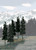 Ready Made Trees Value Pack Conifer Green 6"-8" (12)