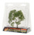 Premium Birch Tree 3-7/8"