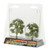 Premium Sycamore Trees 2-7/8" and 2-3/8" (2)