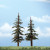 Premium Lodgepole Pine Trees 5"-6" (2)