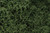 Lichen Medium Green 1.5 qt Bag