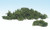 Lichen Medium Green 1.5 qt Bag