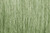 Field Grass Light Green 8g Bag