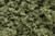 Clump Foliage Burnt Green 3 qt Bag