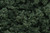 Clump Foliage Dark Green 3 qt Bag