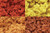 Clump Foliage Fall Colors 3 qt Bag