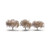 Ready Made Cherry Blossom Trees 1-3/4"-2-1/4" (3)