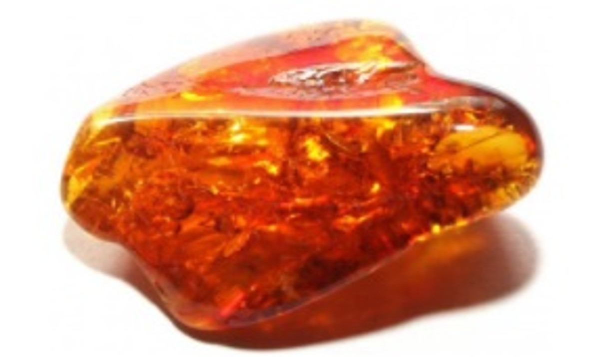 Amber Colors and Shades. - AmberGemstones