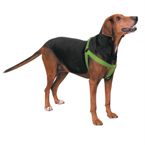 Casual Canine Two-Step Harness 15-25 x 5/8 in Black N274-BP01ZA817_15_17