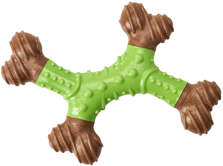 Ethical Spot Bambone Dental X Bone 6 Apple inch N274-KW01E54611_b2b